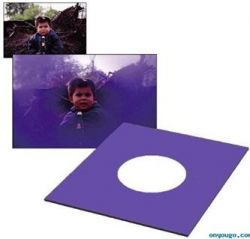 Andorra-Cokin Spot-Violet A064