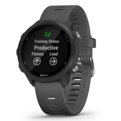 Andorra-Garmin Forerunner 245 Slate Gray