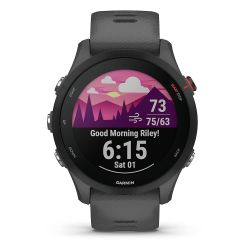 Andorra-Garmin Forerunner 255 Slate Gray 46mm