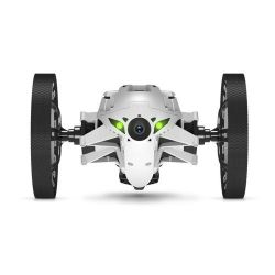 Andorra-Parrot Jumping Night Buzz