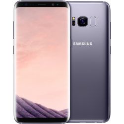 Andorra-Samsung Galaxy S8 Orchid Gray+Funda+Protector