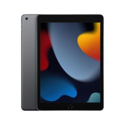 Andorra-iPad 2021 256GB 4G Space Grey