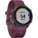Andorra-Garmin Forerunner 245 Berry