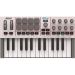 Andorra-Akai MPK Mini IV Gray