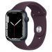 Andorra-Apple Watch Series 7 GPS+Cellular Midnight Aluminum Case with Dark Cherry Sport Band 45mm