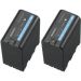 Andorra-Sony BP-U60 Dual Pack