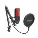 Andorra-MRS Audio USB440 Digital Mic